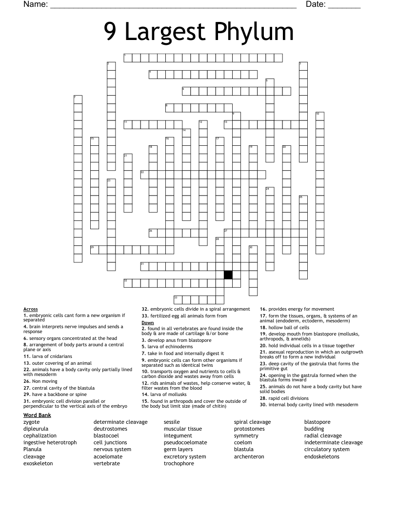 9 Largest Phylum Crossword