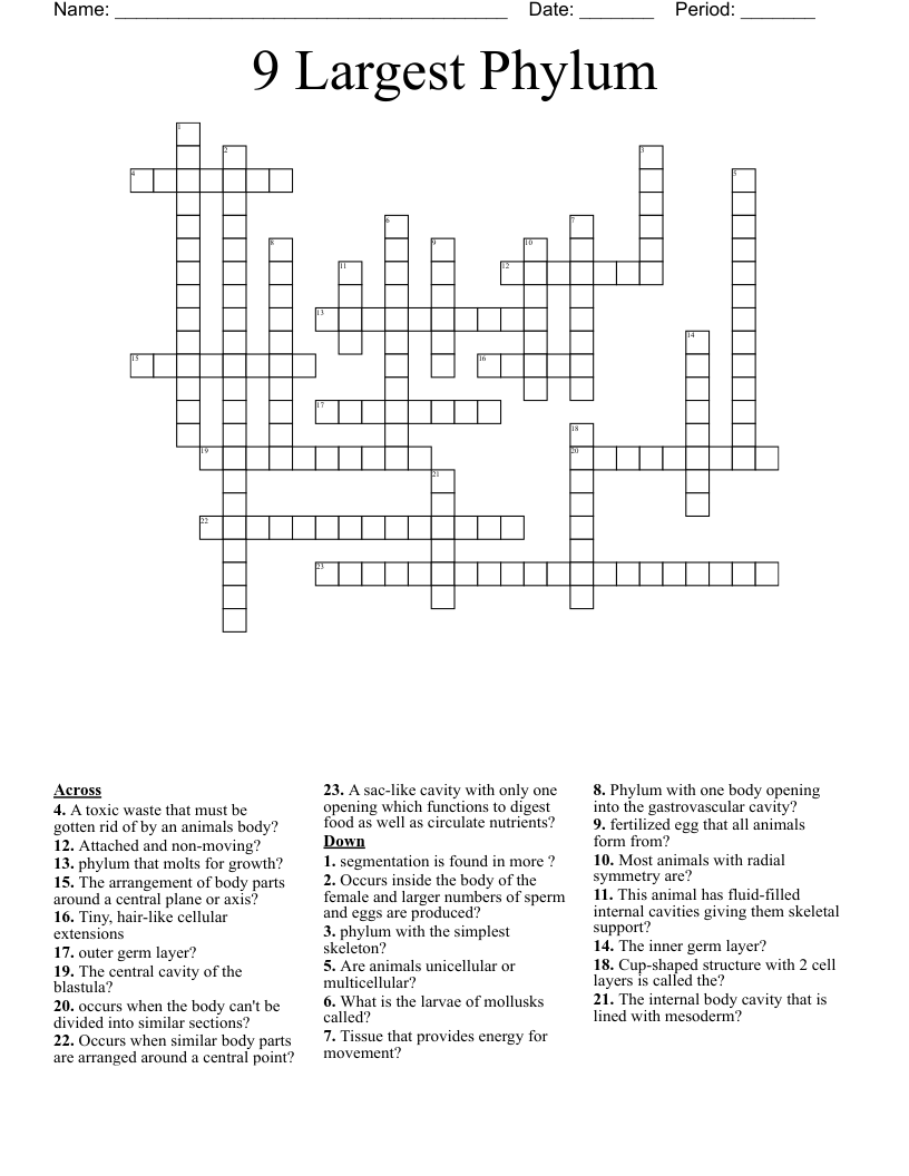 9 Largest Phylum Crossword