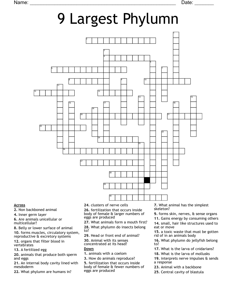 9 Largest Phylumn Crossword
