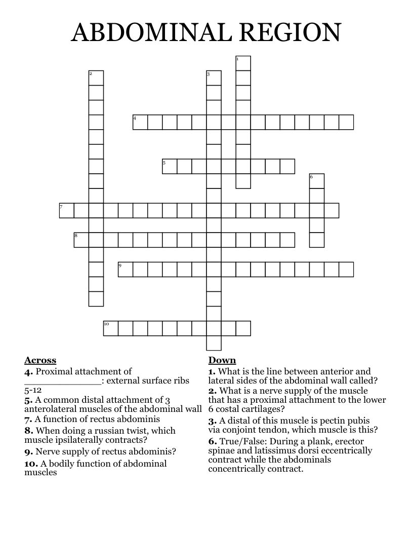 ABDOMINAL REGION Crossword