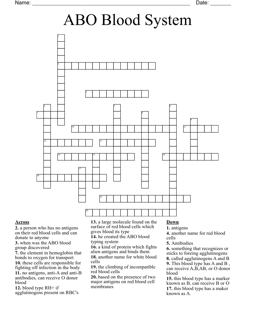 ABO Blood System Crossword