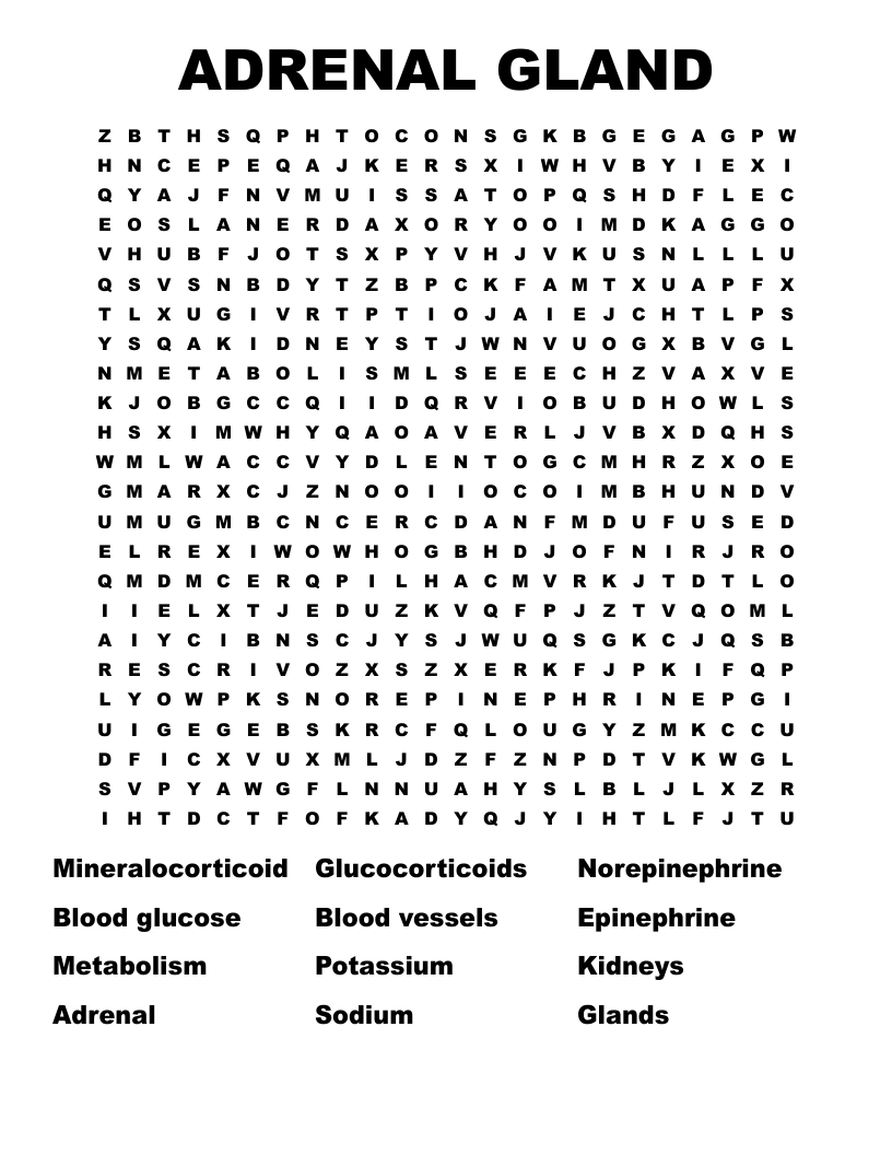 ADRENAL GLAND Word Search