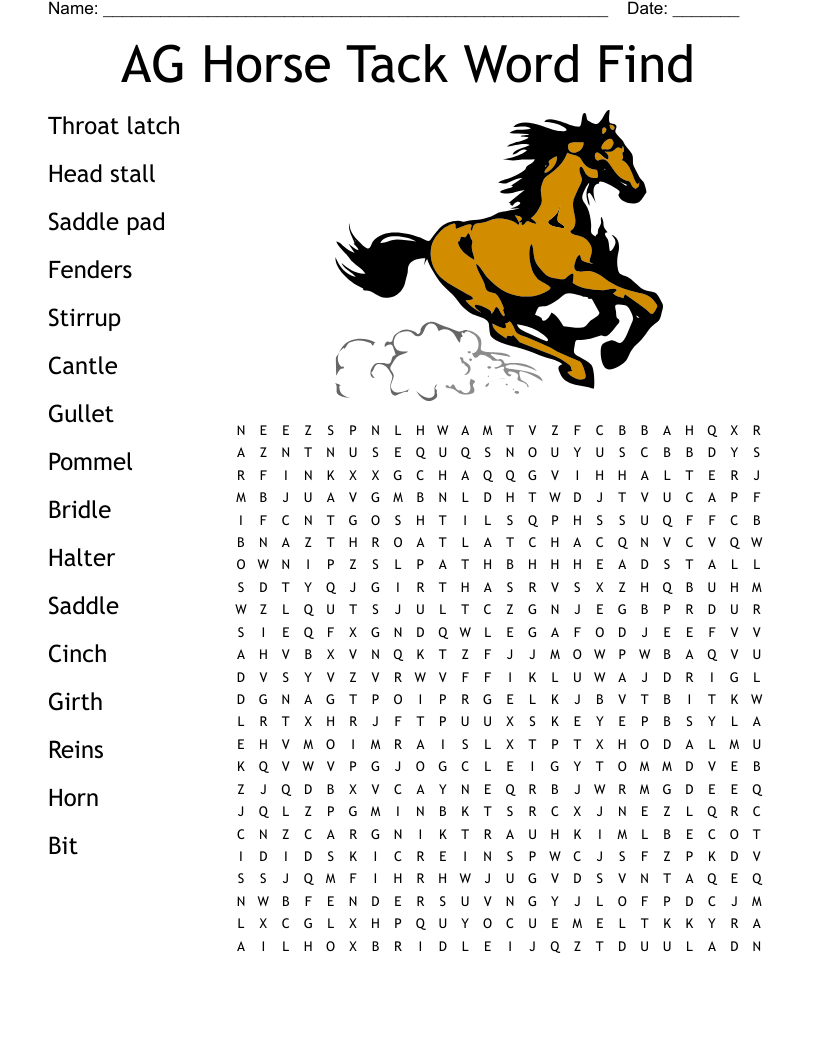 AG Horse Tack Word Find Word Search