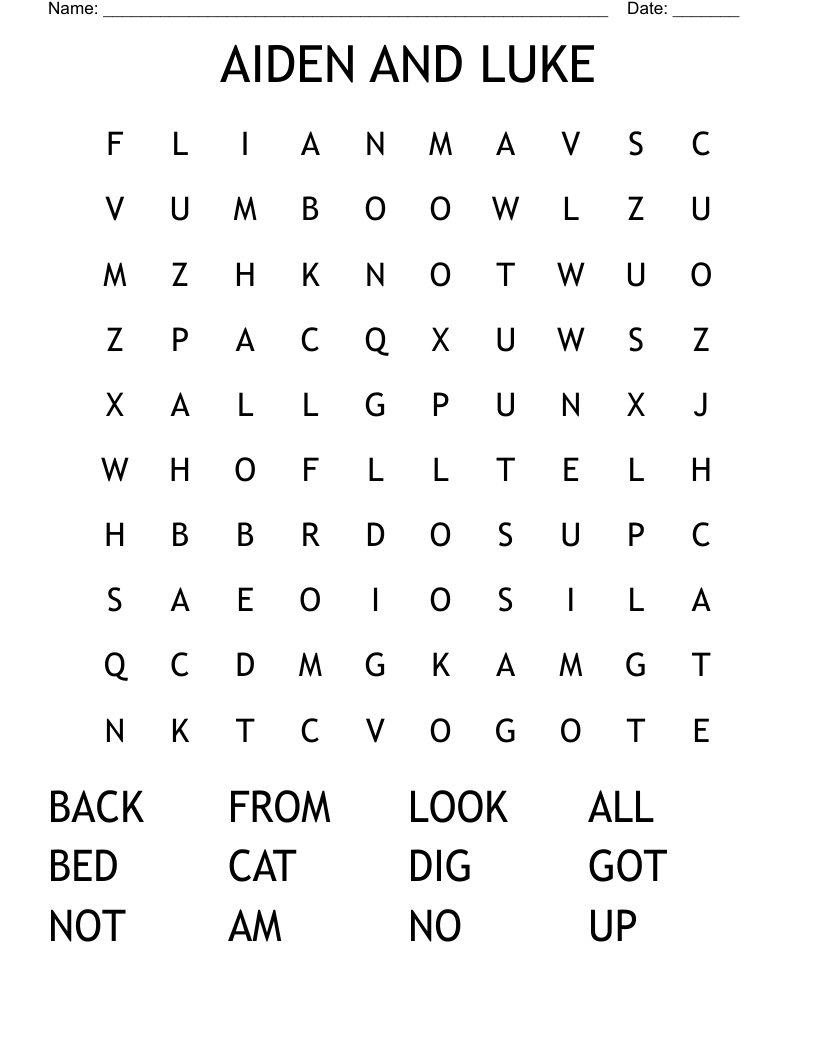 AIDEN AND LUKE  Word Search