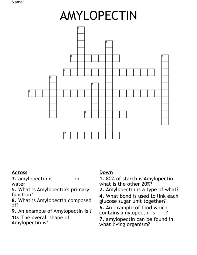 AMYLOPECTIN Crossword