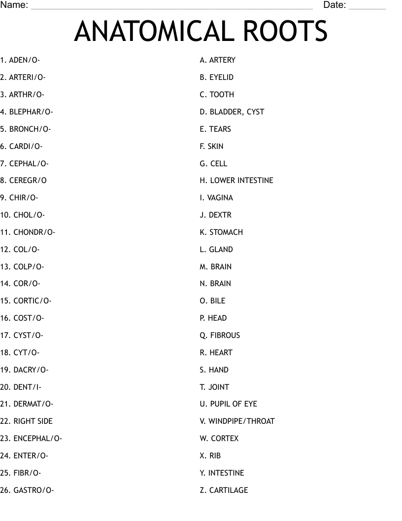 ANATOMICAL ROOTS Worksheet