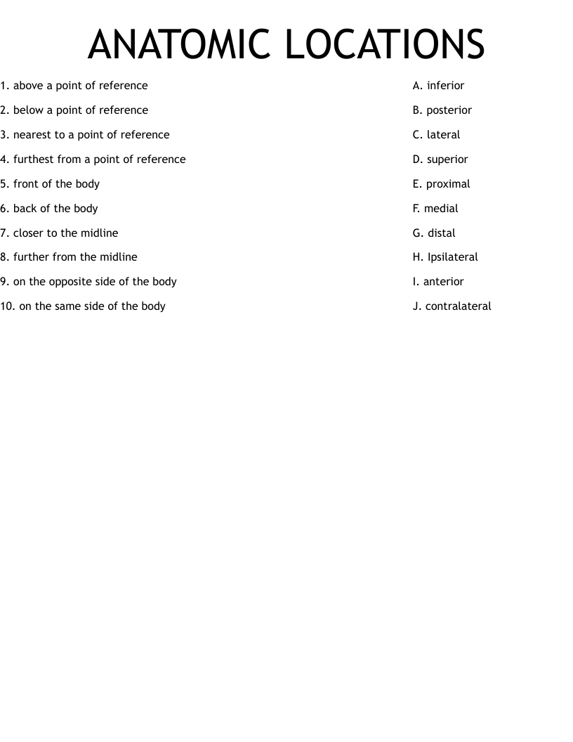 ANATOMIC LOCATIONS Worksheet