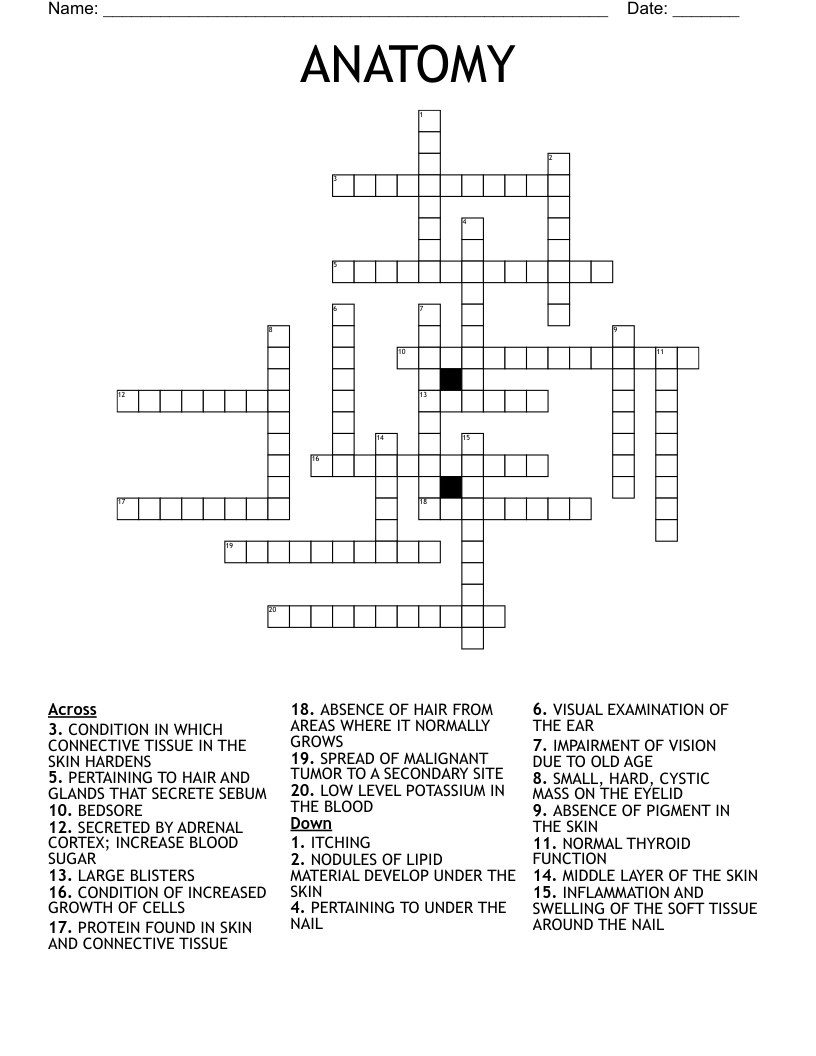 ANATOMY Crossword