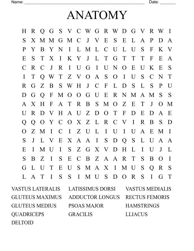ANATOMY Word Search