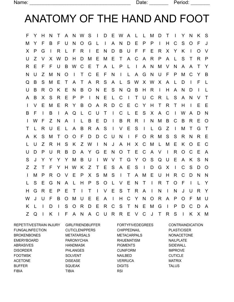 ANATOMY OF THE HAND AND FOOT Word Search