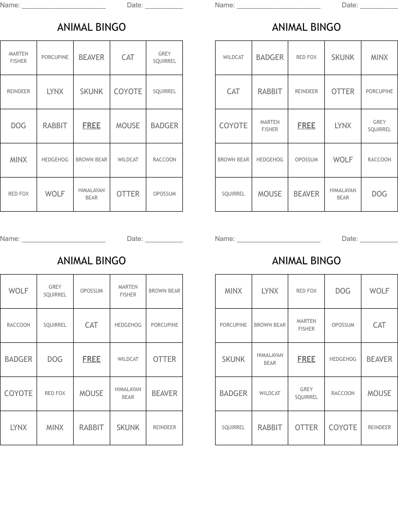 ANIMAL BINGO