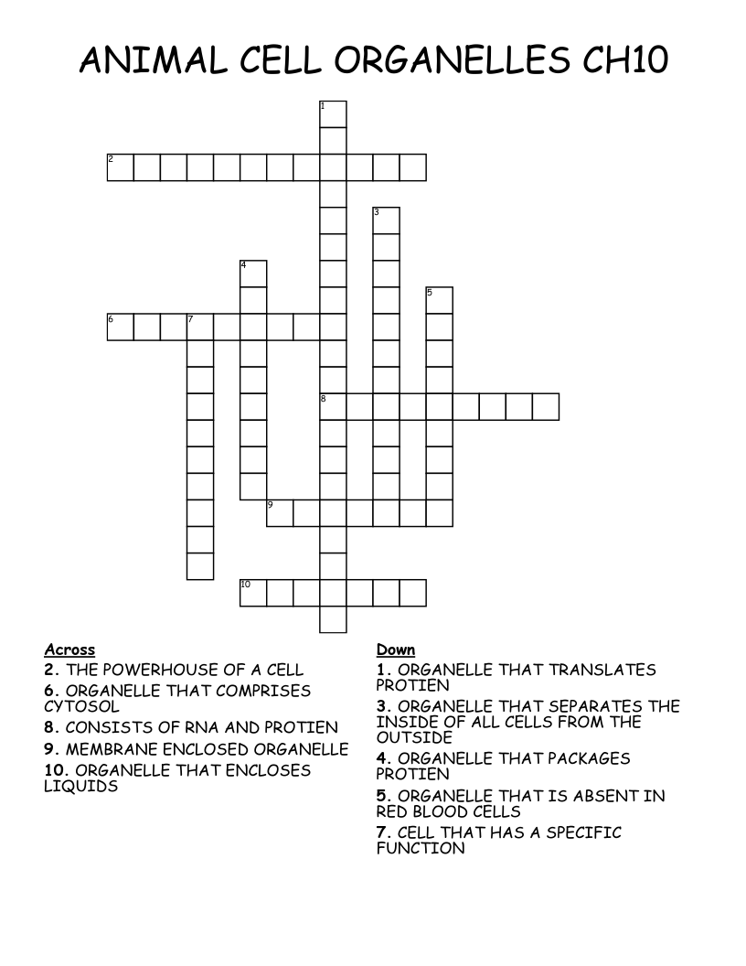 ANIMAL CELL ORGANELLES CH10 Crossword
