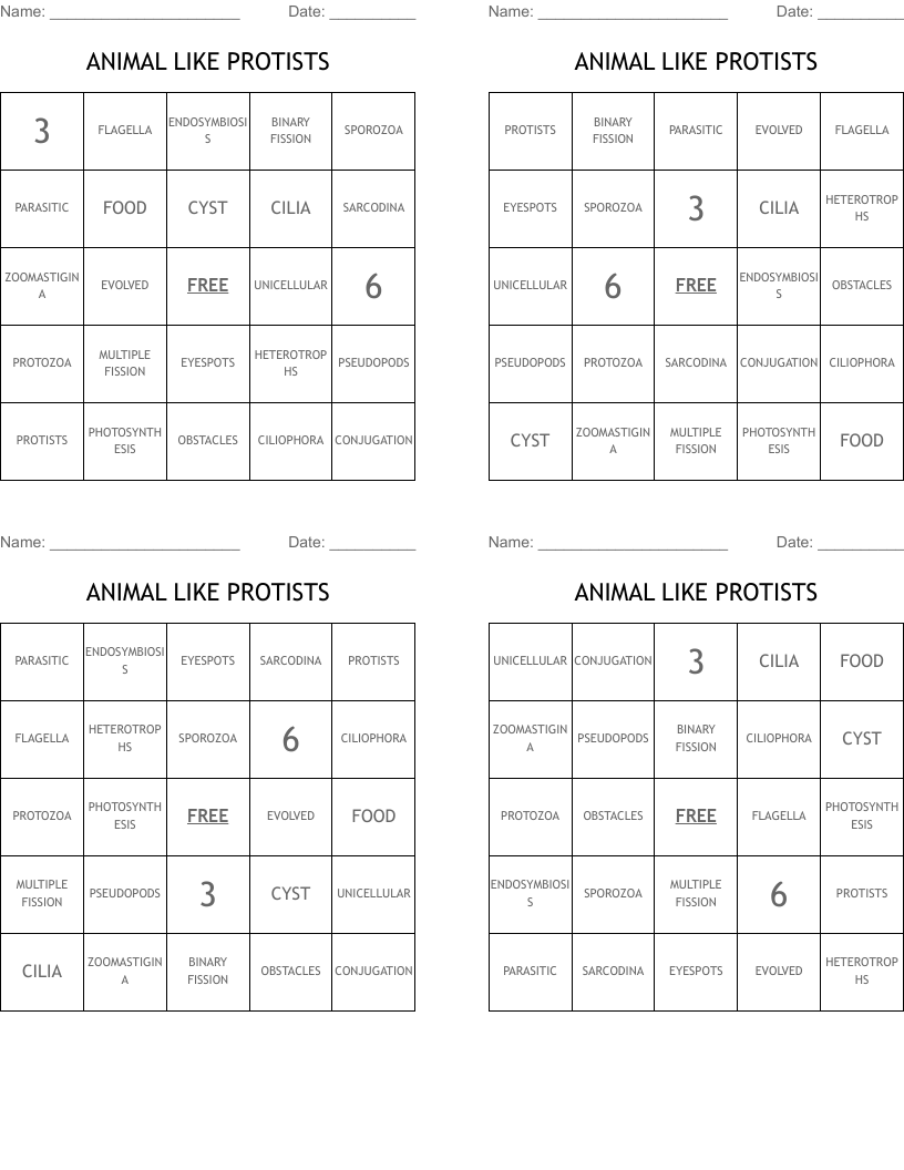 ANIMAL LIKE PROTISTS Bingo Cards
