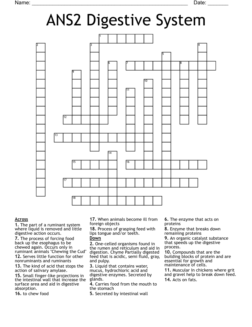 ANS2 Digestive System Crossword