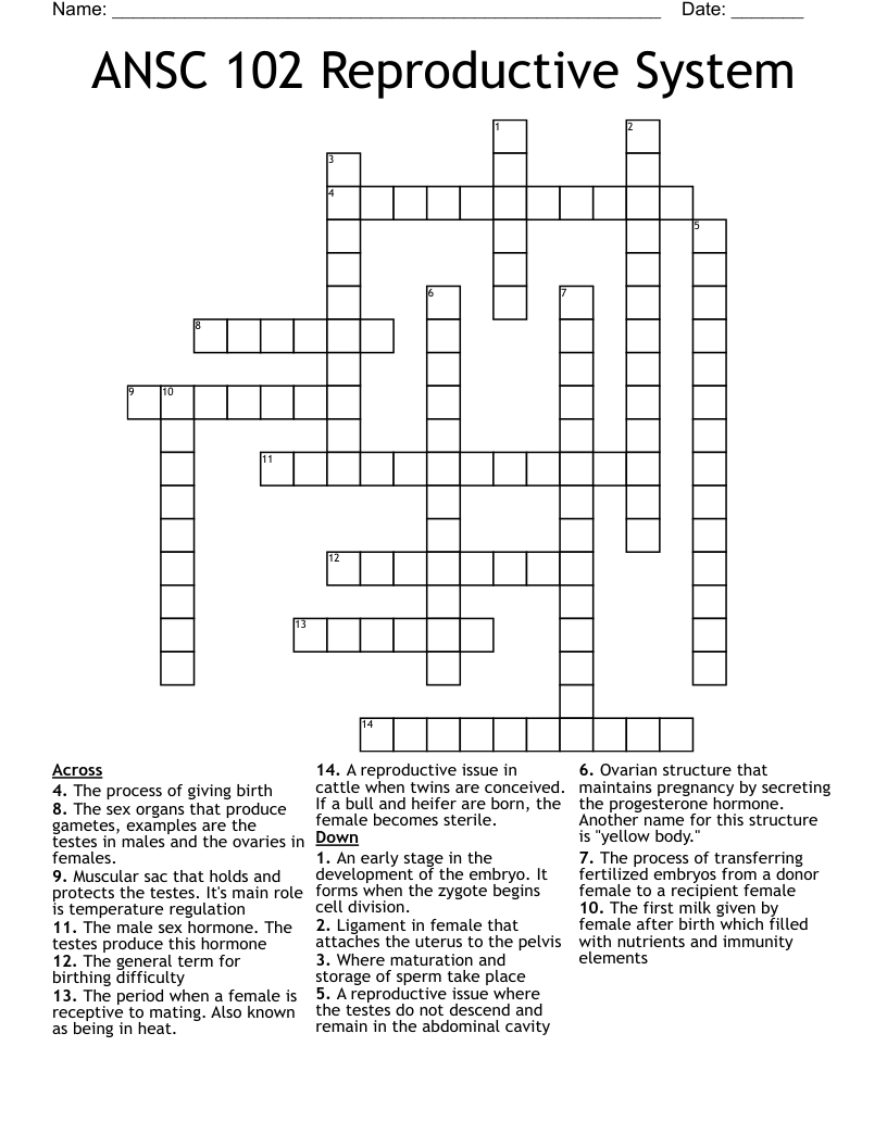 ANSC 102 Reproductive System Crossword