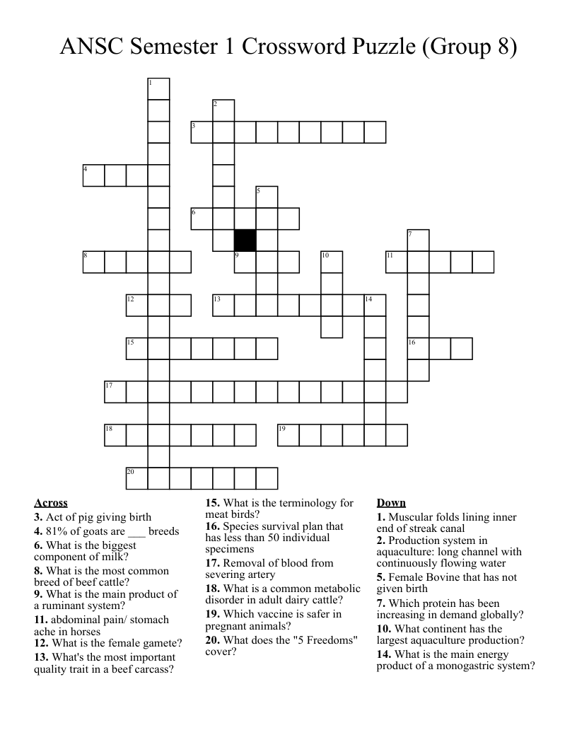 ANSC Semester 1 Crossword Puzzle (Group 8)