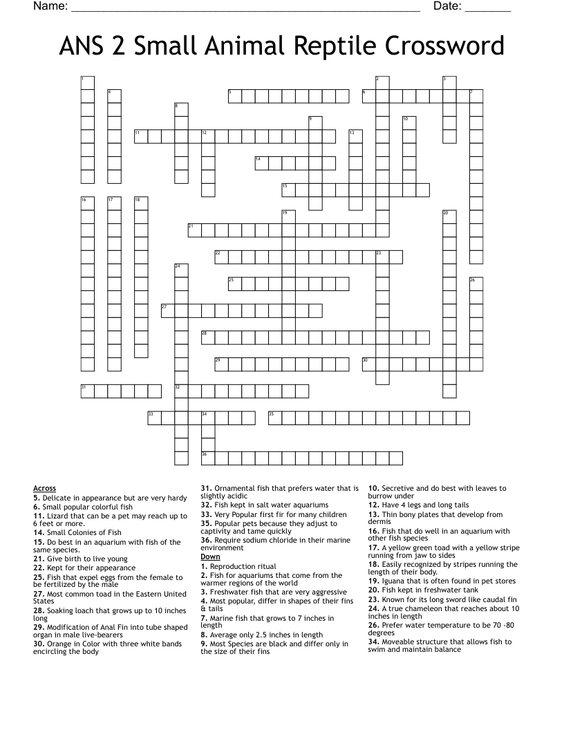 ANS 2 Small Animal Reptile Crossword