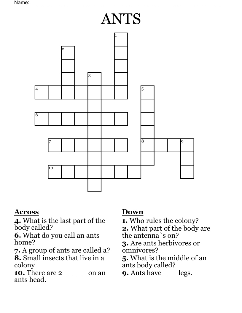 ANTS Crossword