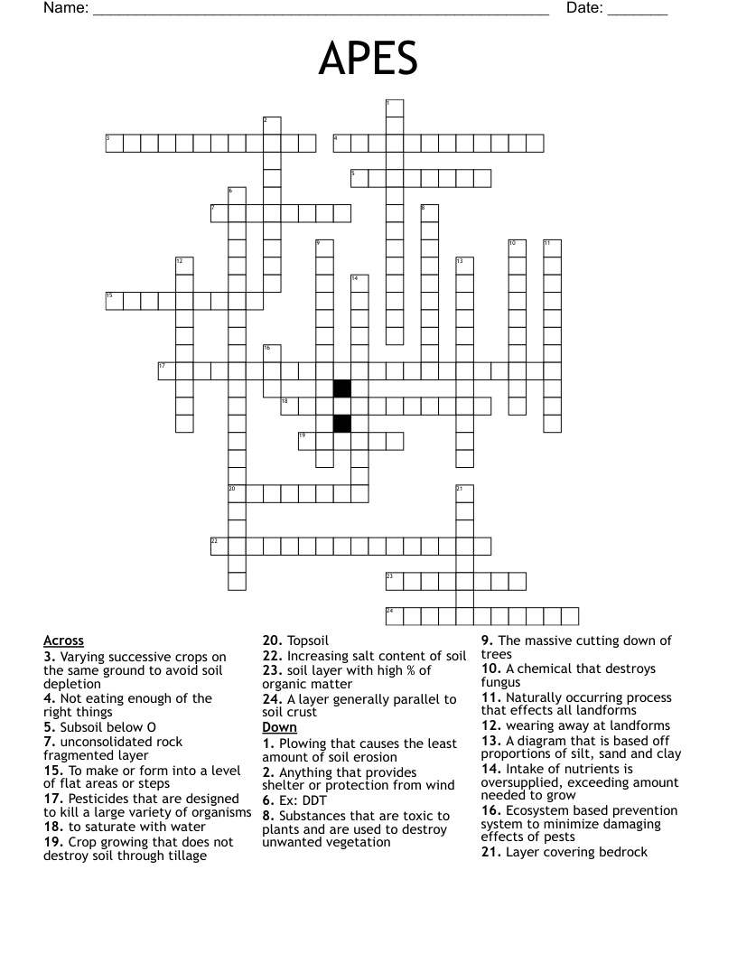 APES Crossword