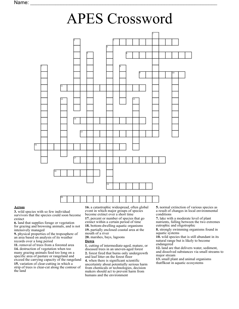 APES Crossword