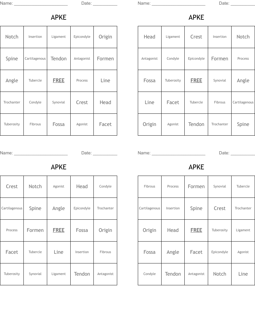 APKE Bingo Cards