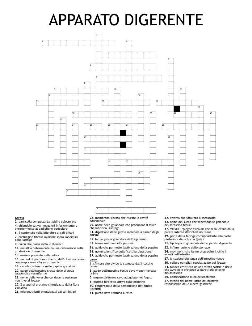 APPARATO DIGERENTE Crossword
