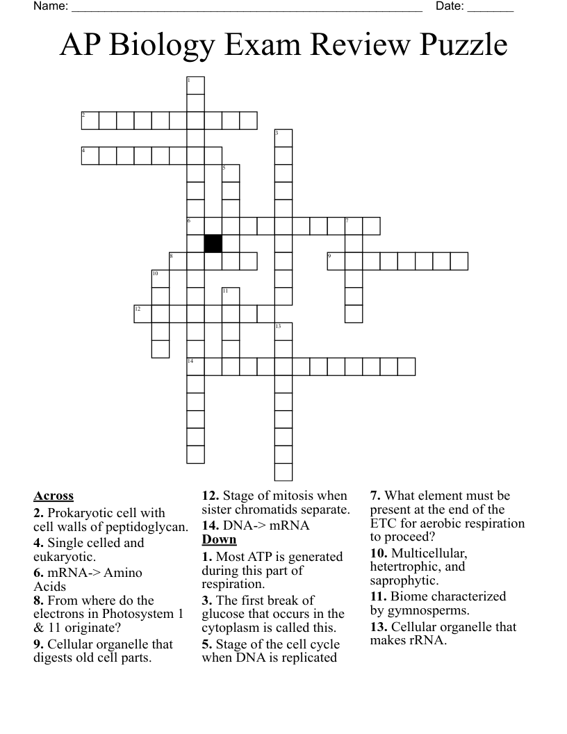 AP Biology Exam Review Puzzle Crossword