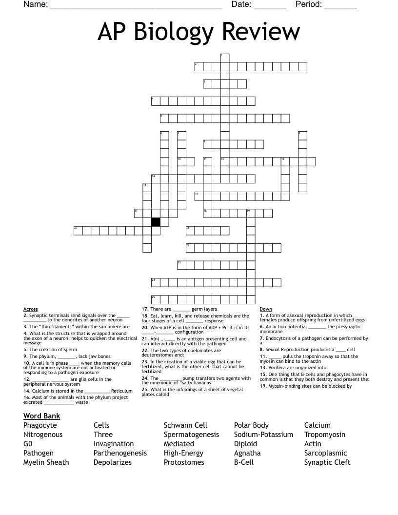 AP Biology Review Crossword