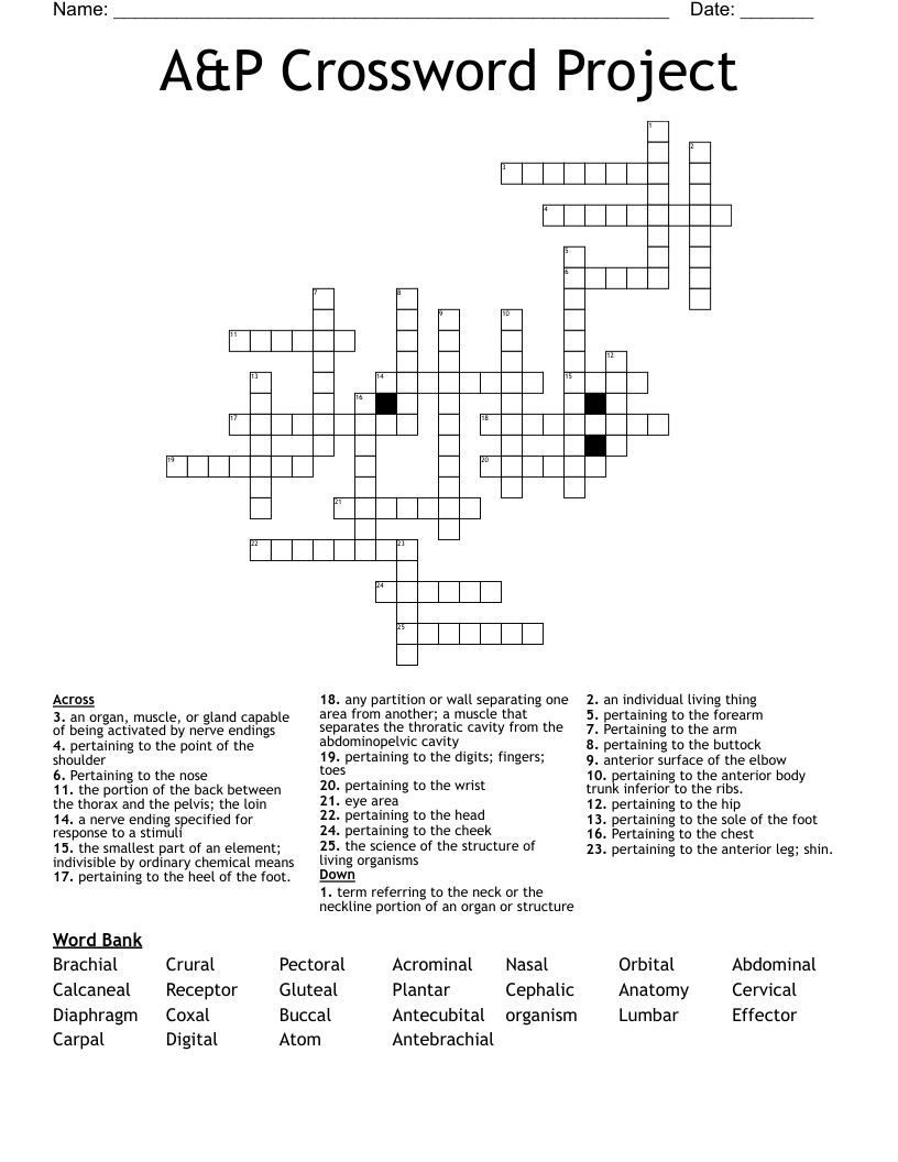 A&P Crossword Project