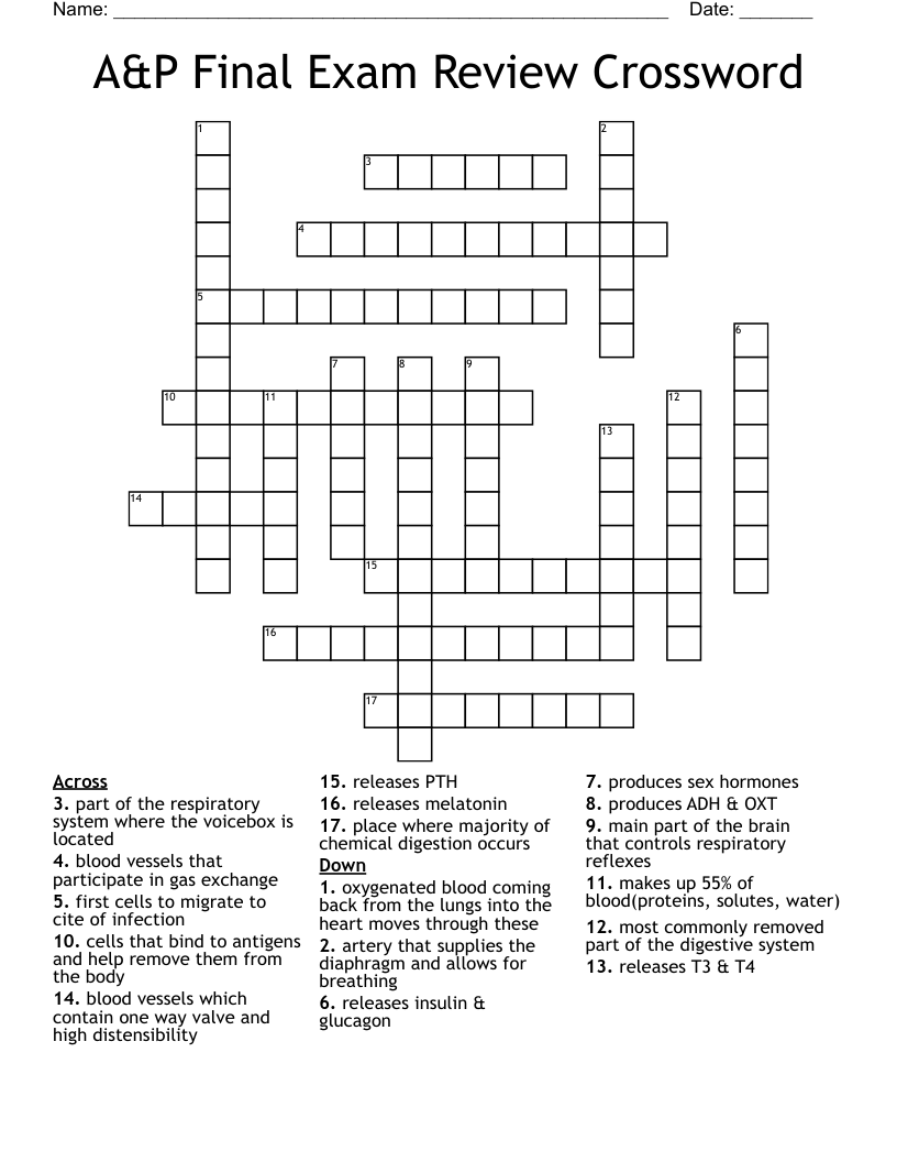 A&P Final Exam Review Crossword