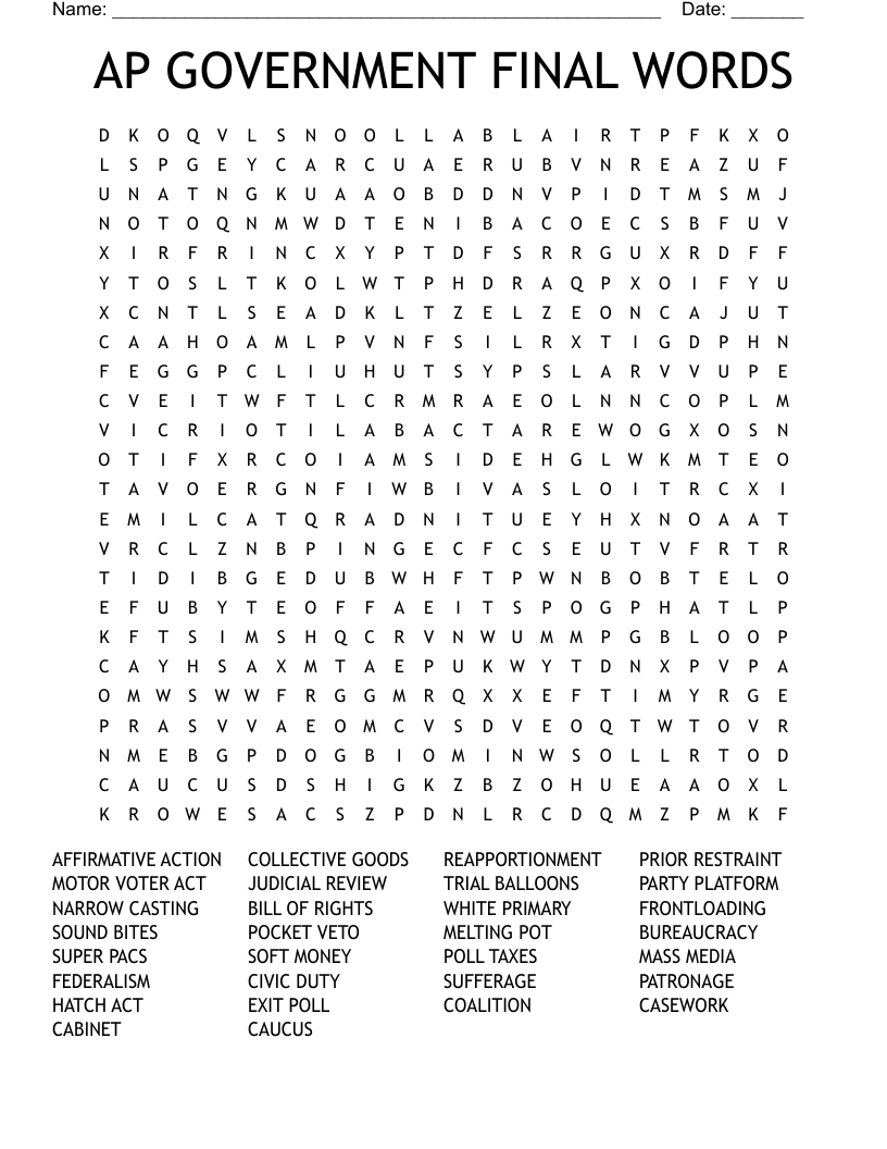 AP GOVERNMENT FINAL WORDS Word Search