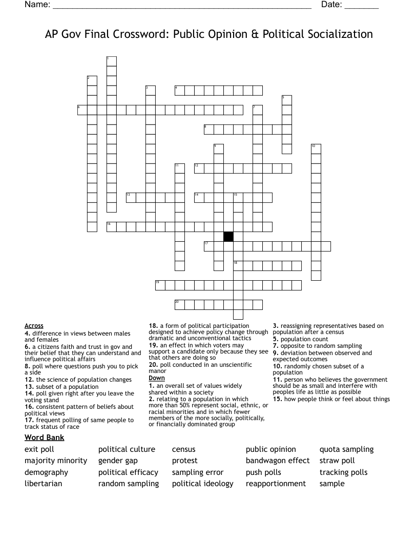 AP Gov Final Crossword: Public Opinion & Political Socialization 