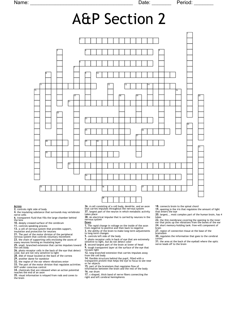 A&P Section 2 Crossword