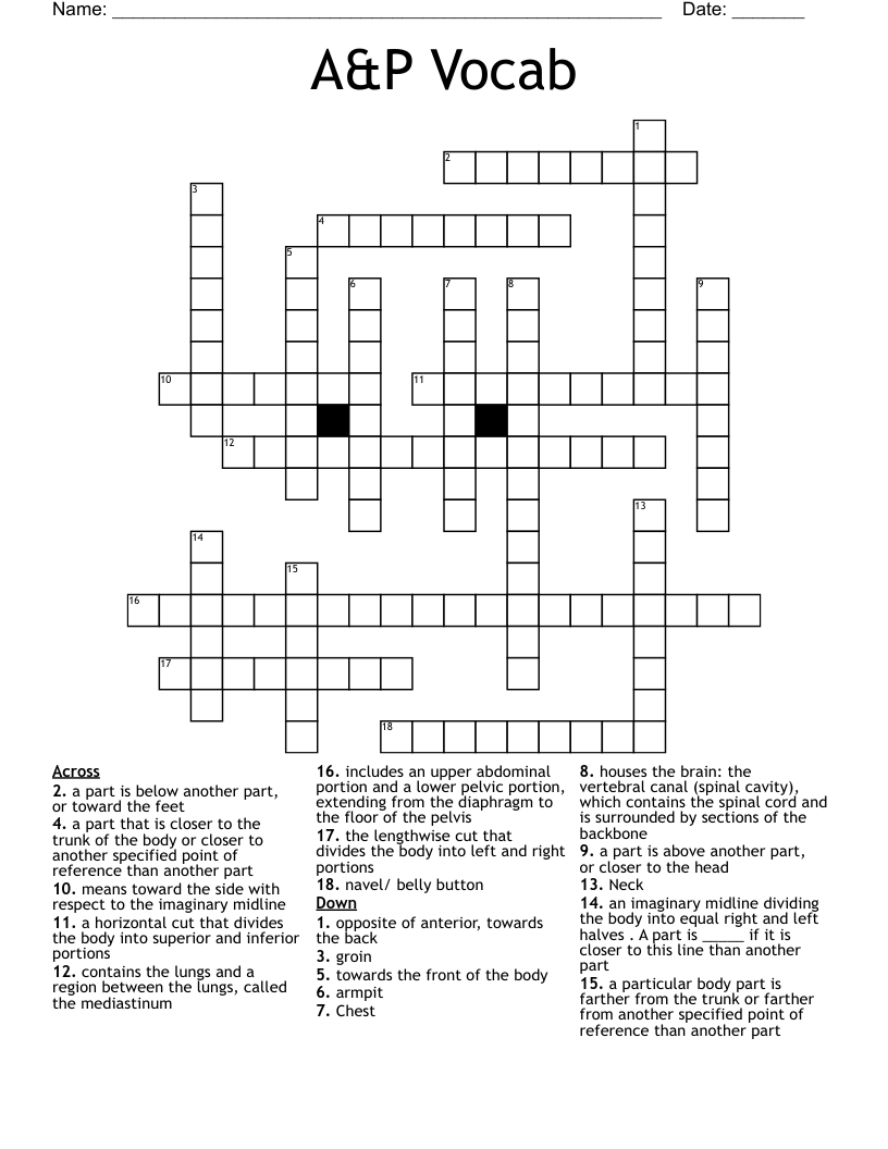 A&P Vocab Crossword