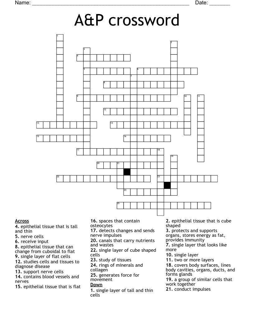 A&P crossword