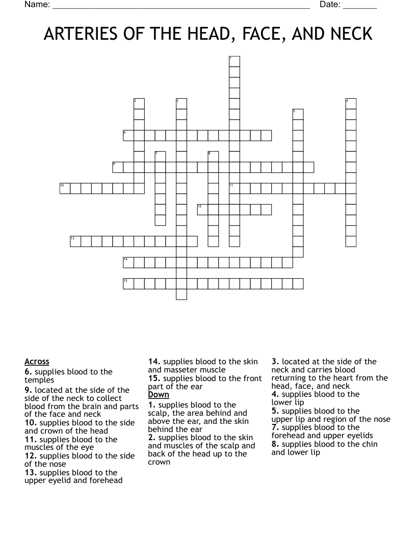 ARTERIES OF THE HEAD, FACE, AND NECK Crossword