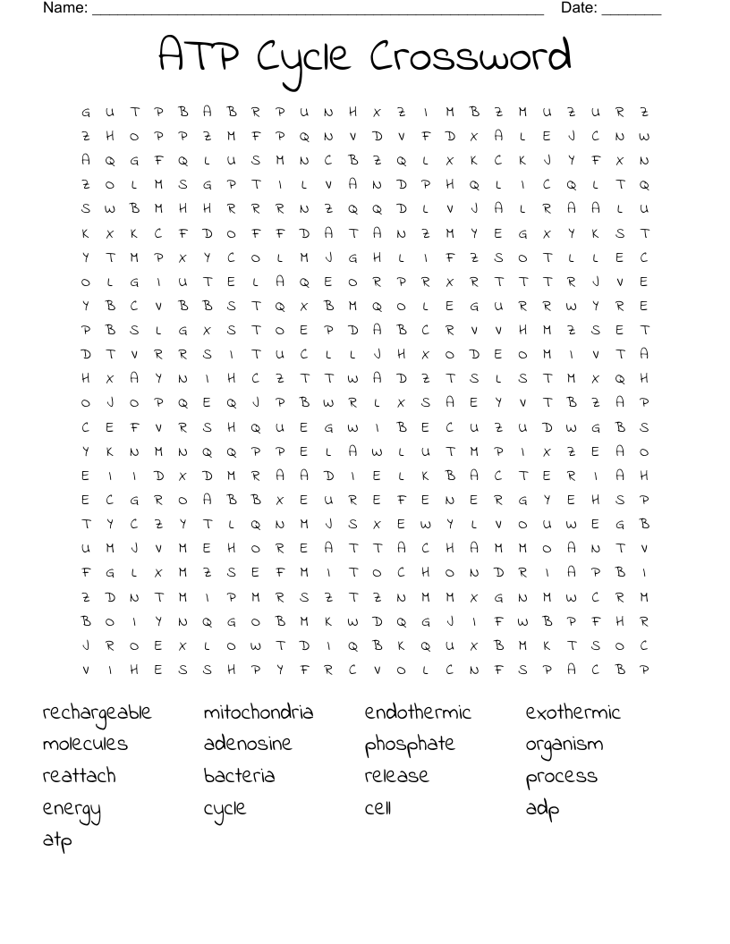 ATP Cycle Crossword Word Search