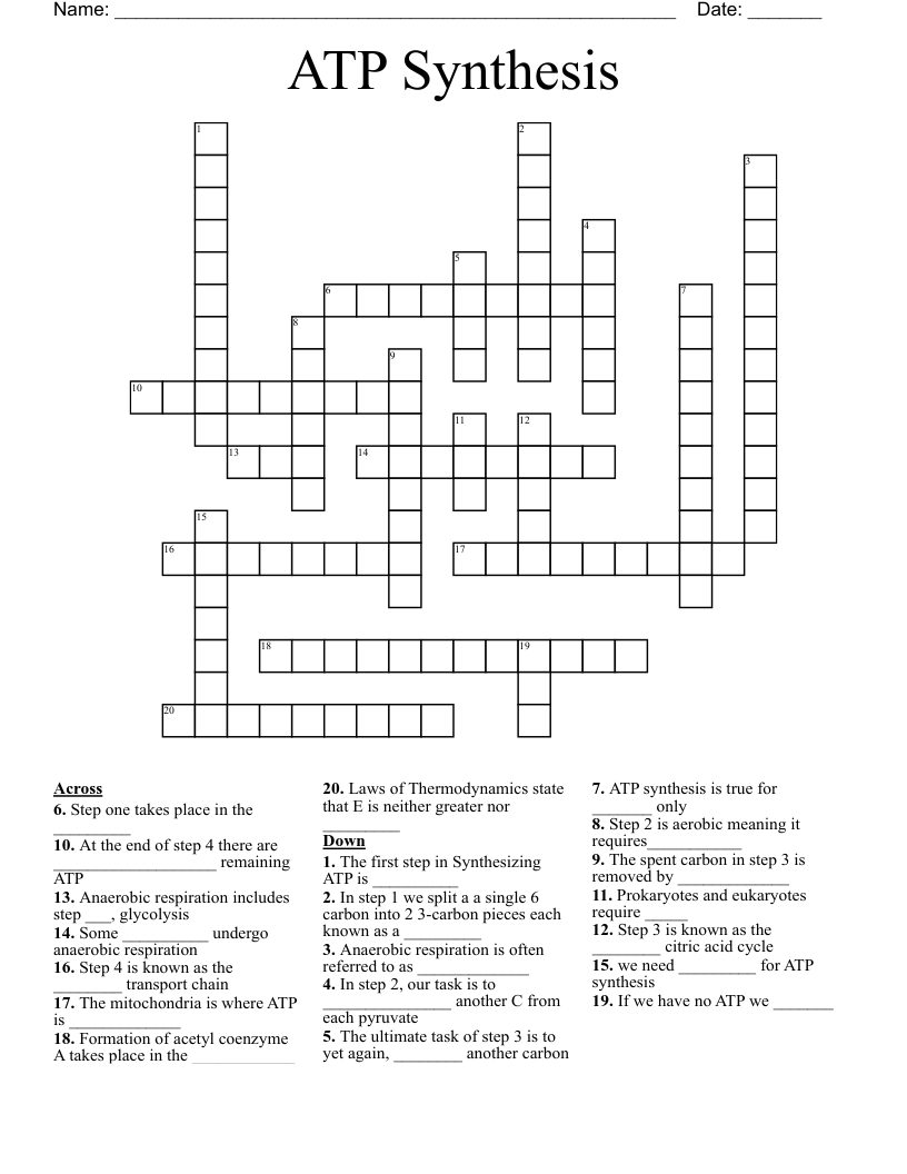 ATP Synthesis Crossword