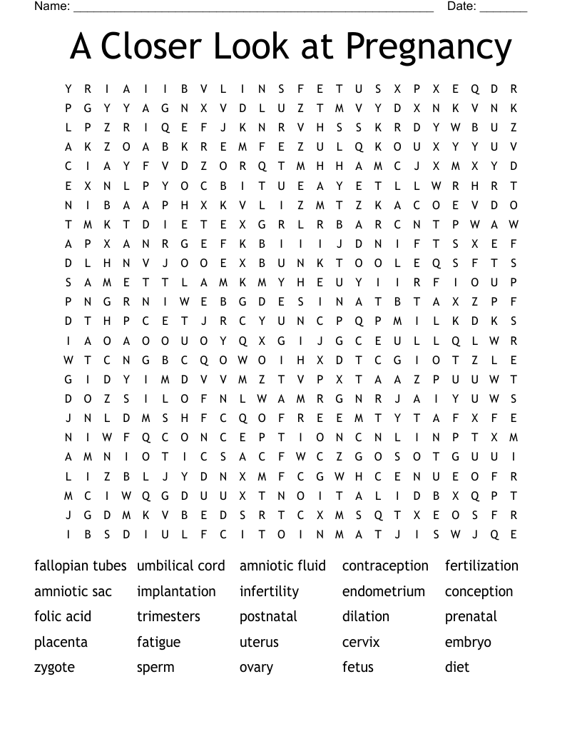 A Closer Look at Pregnancy  Word Search