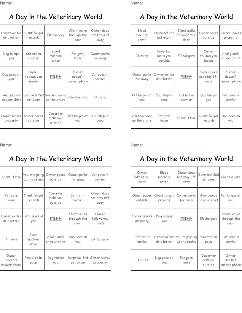 A Day in the Veterinary World