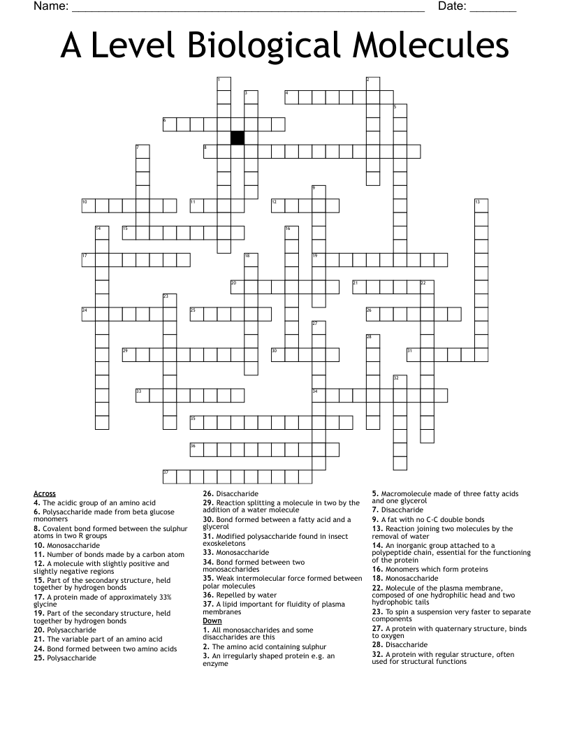 A Level Biological Molecules Crossword
