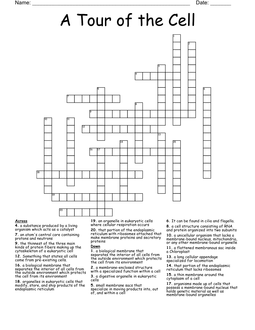 A Tour of the Cell Crossword