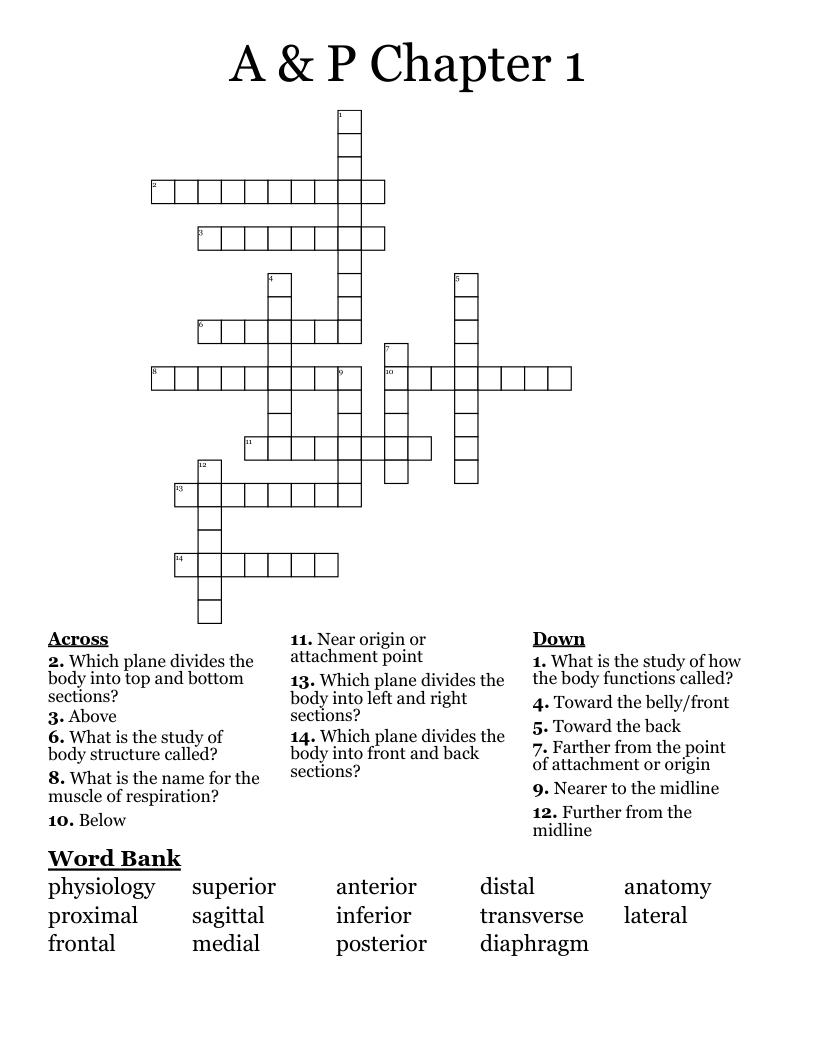 A & P Chapter 1 Crossword