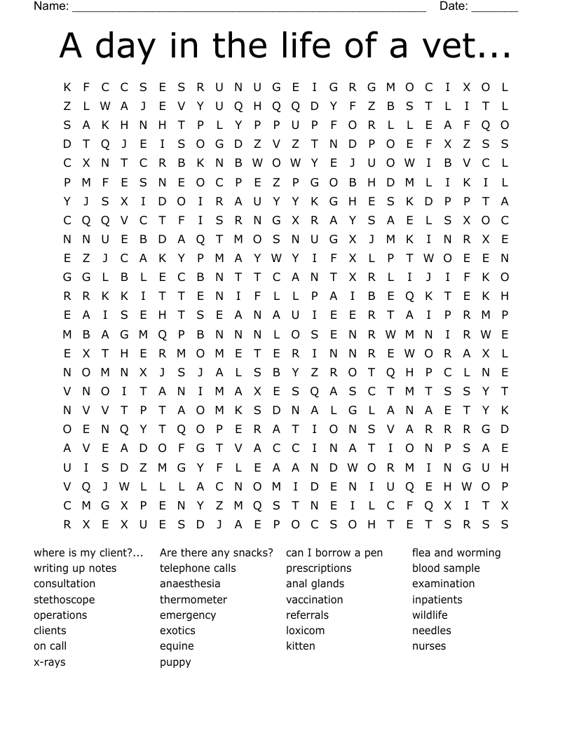 A day in the life of a vet... Word Search