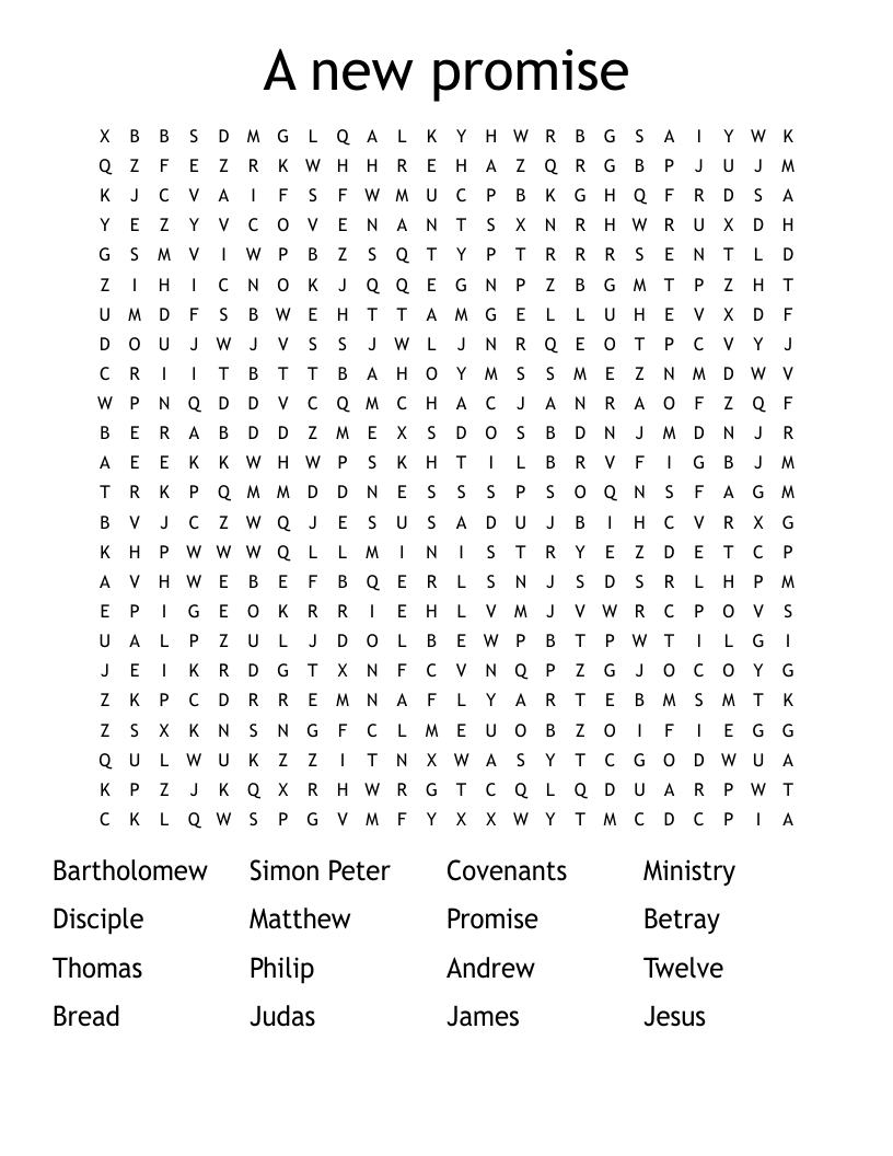 A new promise Word Search
