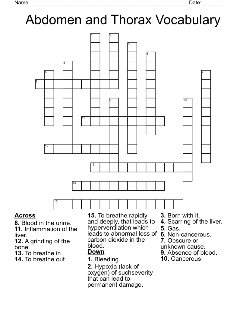 Abdomen and Thorax Vocabulary Crossword