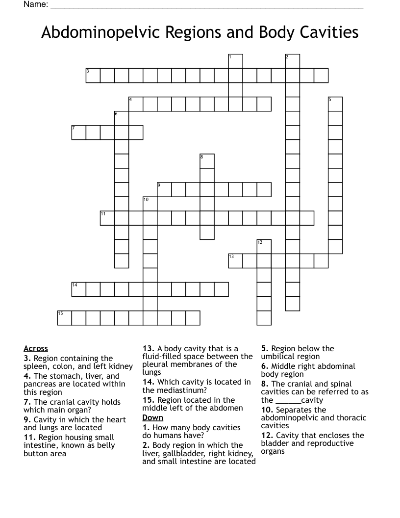 Abdominopelvic Regions and Body Cavities Crossword