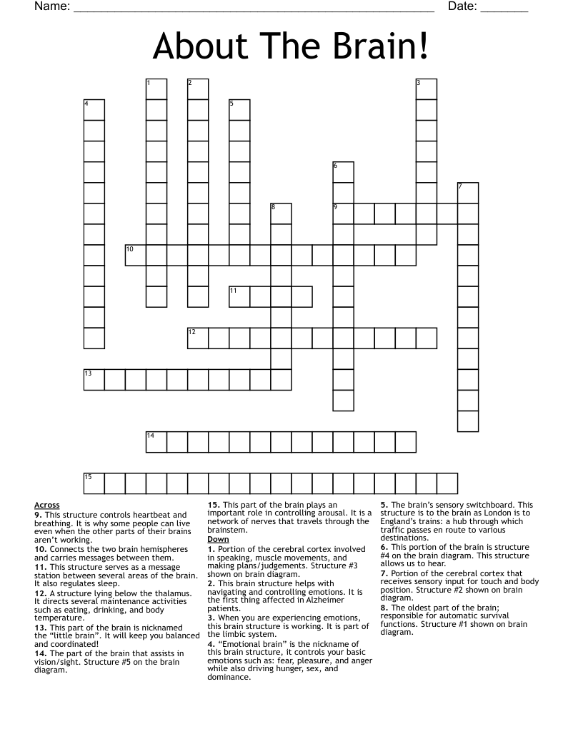 About The Brain! Crossword