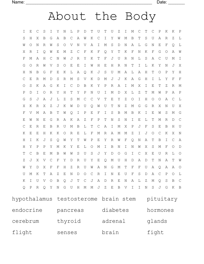 About the Body Word Search