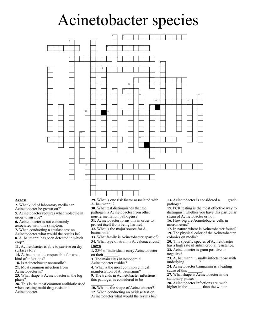 Acinetobacter species  Crossword